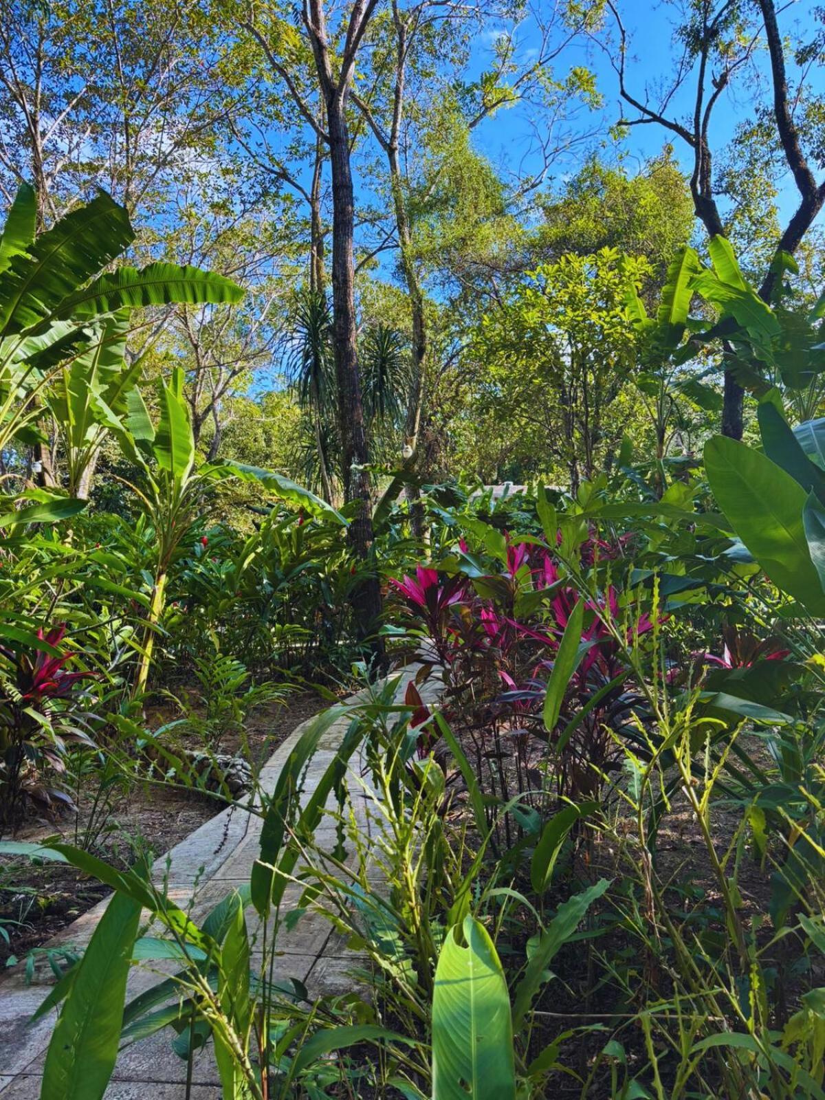 Hotel La Aldea Del Halach Huinic Palenque Kültér fotó