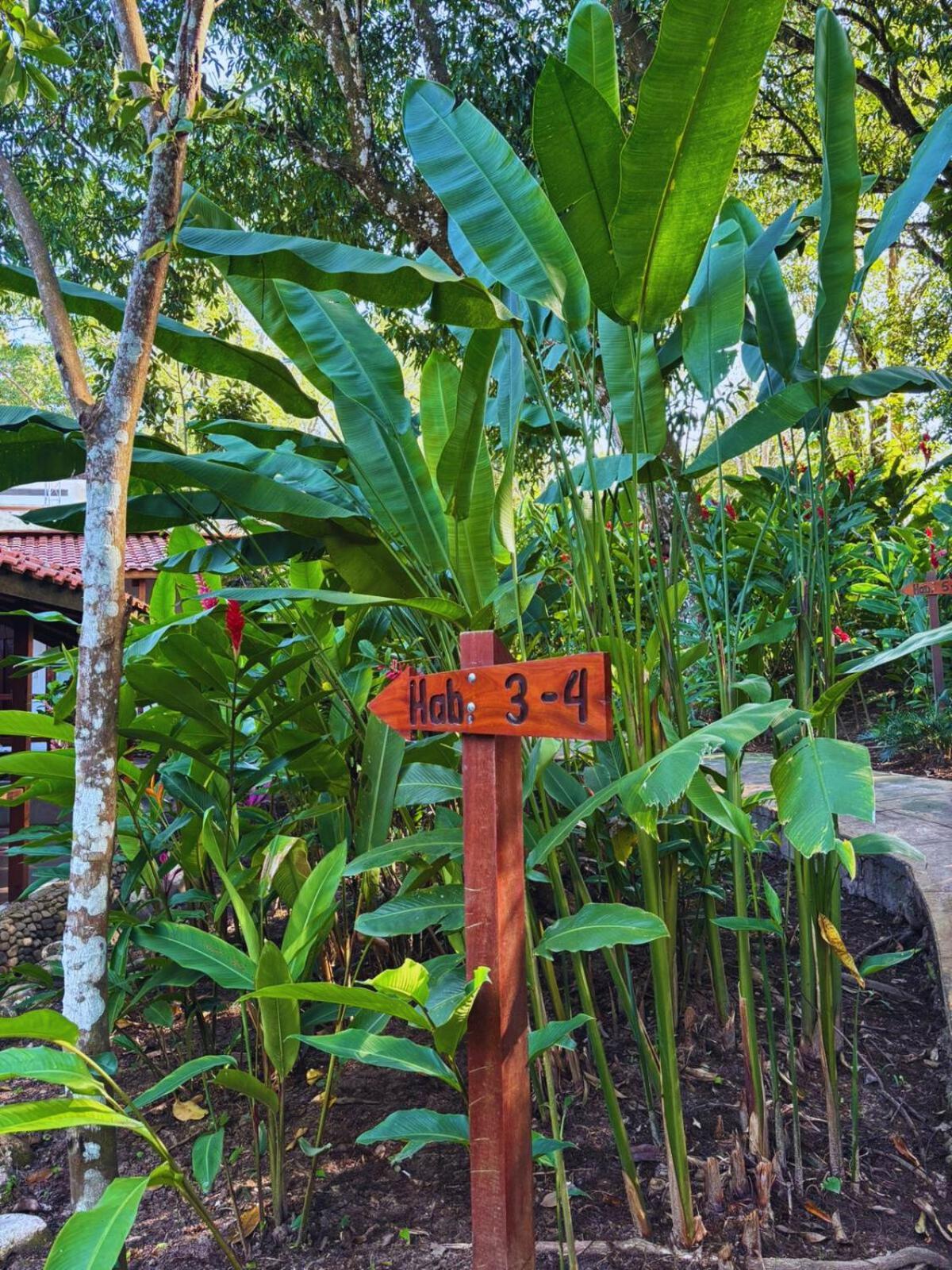 Hotel La Aldea Del Halach Huinic Palenque Kültér fotó