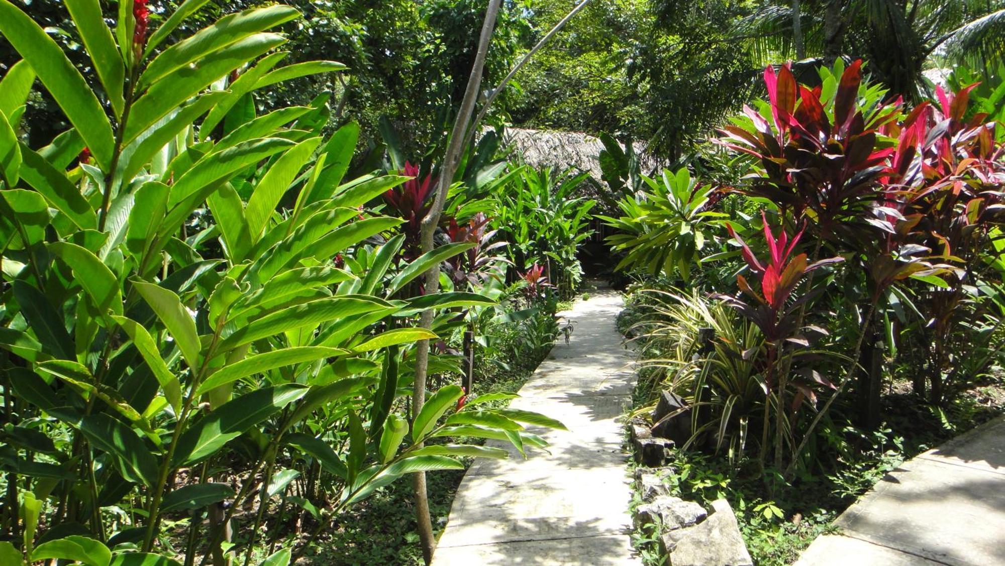 Hotel La Aldea Del Halach Huinic Palenque Kültér fotó